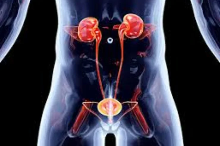 Reconstructive Urology------11