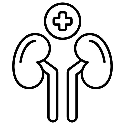nephrology_17941861